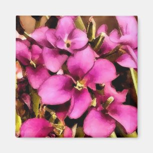 Today I felt like flowers magnet