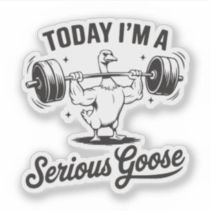 Today I'm a serious goose