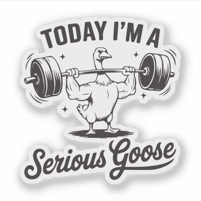 Today I'm a serious goose  (Front)