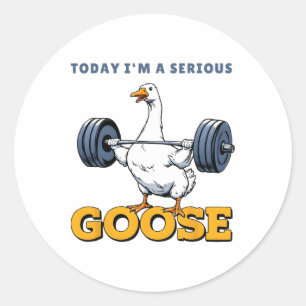 Today I'm A Serious Goose Tee Funny Bodybuilding F Classic Round Sticker