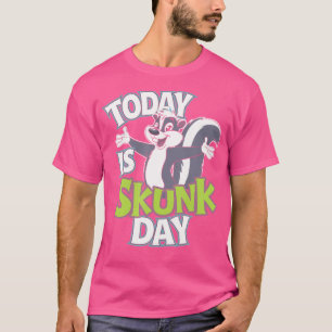 Today Is A Skunk Day Skunk Lover Skunk T-Shirt