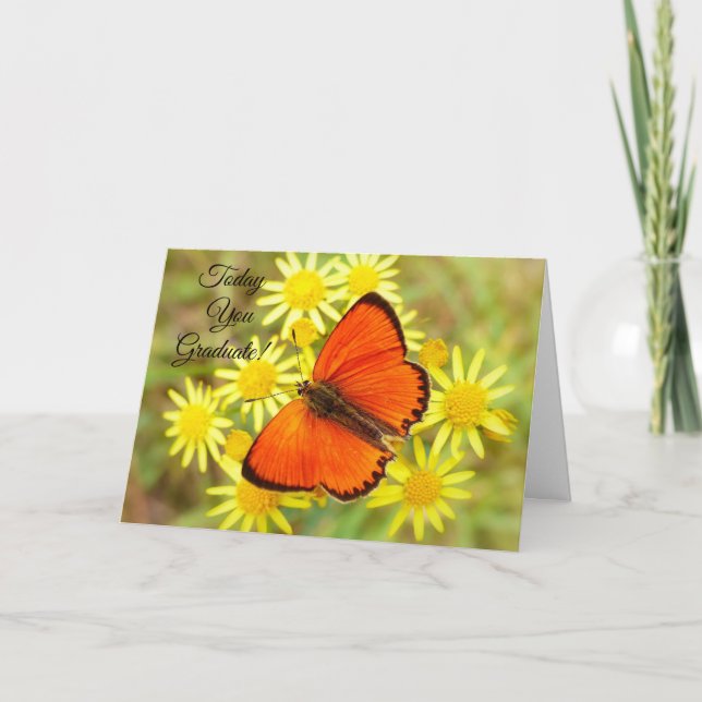Today You Graduate Butterfly Card (Front)