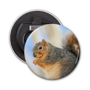 Todays furball  bottle opener