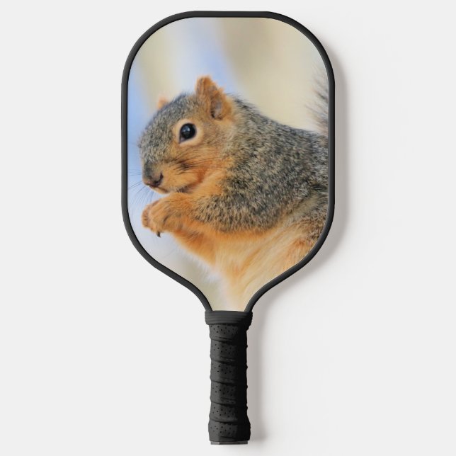 Todays furball   pickleball paddle (Front)