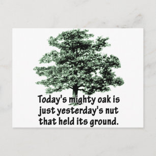 Today's mighty oak is just yesterday's nut that he postcard