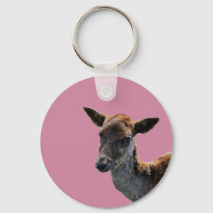 toe key ring