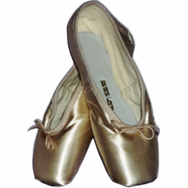 Toe Shoes Ballet Ornament Photo Sculpture Decoration (Front)