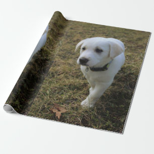 Toffee Wrapping Paper