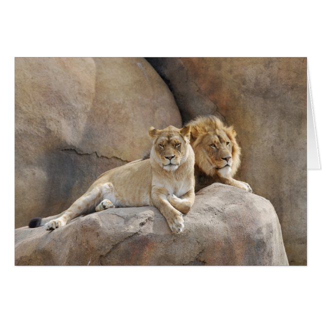 Together (Front Horizontal)