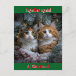 Together Again at Christmas! Holiday Postcard