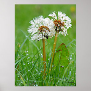 Together. Always Poster