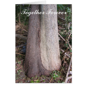 Together Forever ~ card