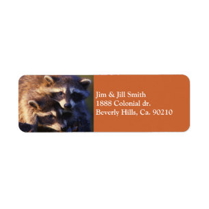 Together Forever Raccoons