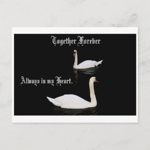 Together Forever Swans. Postcard