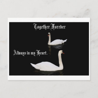 Together Forever Swans. Postcard