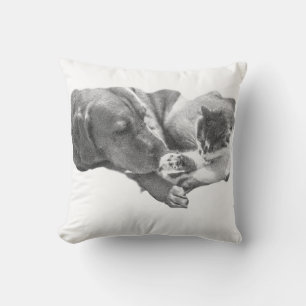 Together in Stillness Cushion