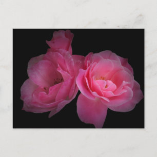 Together Postcard