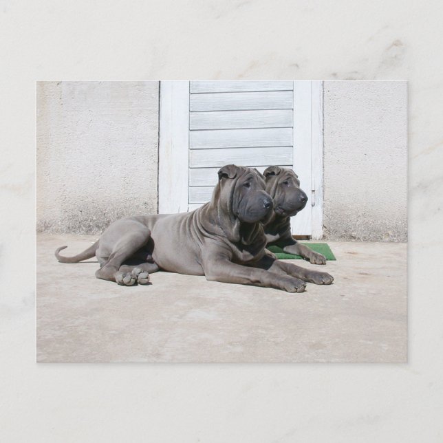 Together Postcard (Front)