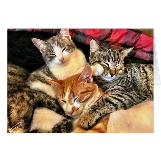 Togetherness (Front Horizontal)