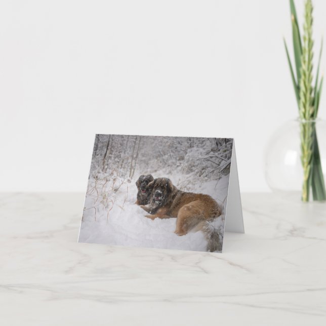 Togetherness Holiday Card (Front)