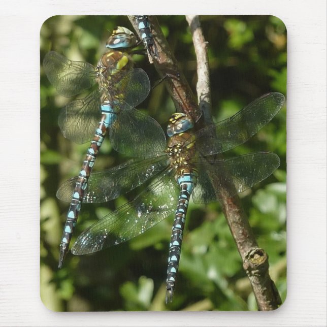 Togetherness! Mouse Mat (Front)