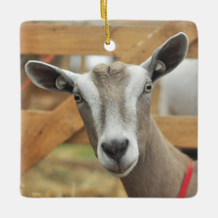 Toggenburg Dairy Goat Ceramic Ornament