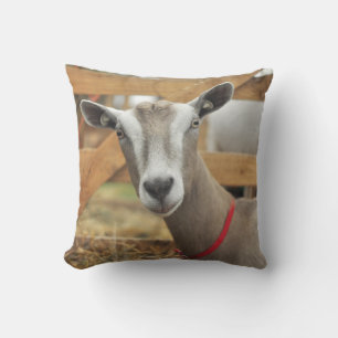 Toggenburg Dairy Goat Doe Cushion