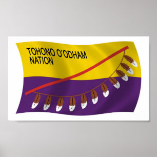 Tohono O'odham Nation Flag Poster Print