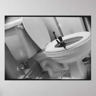 Toilet Humour Poster