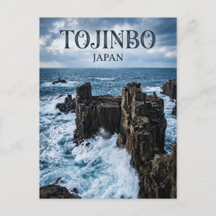 Tojinbo Cliffs Japan Postcard