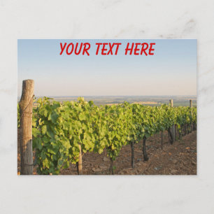 Tokaj vineyards, Hungary customisable Postcard