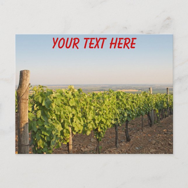Tokaj vineyards, Hungary customisable Postcard (Front)