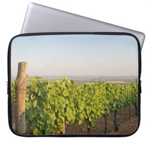 Tokaj vineyards, Hungary Laptop Sleeve