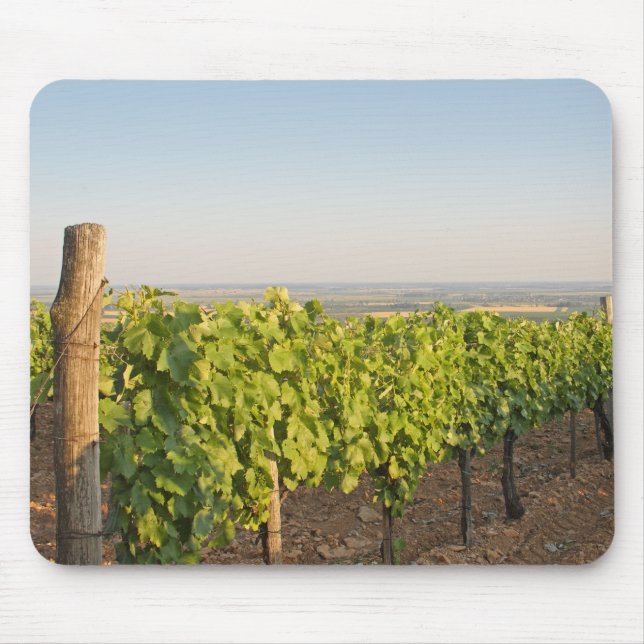 Tokaj vineyards, Hungary Mouse Mat (Front)