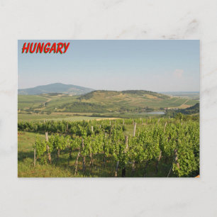 Tokaj vineyards, Hungary Postcard