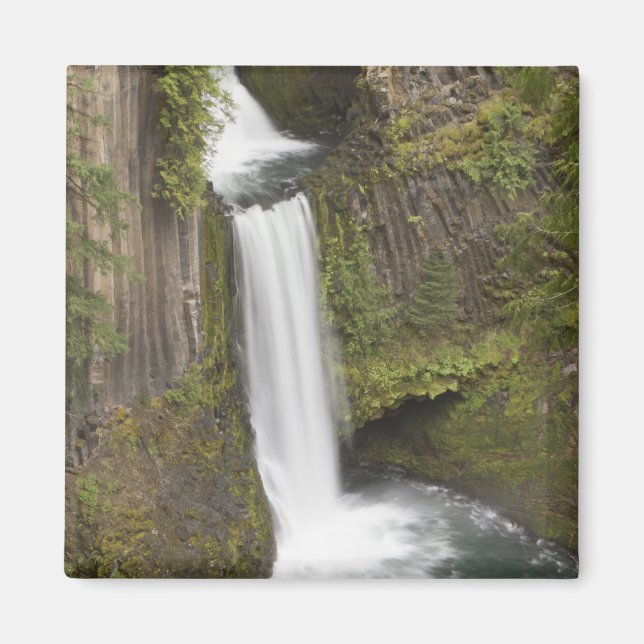 Toketee Falls in Douglas county, Oregon Magnet (Front)