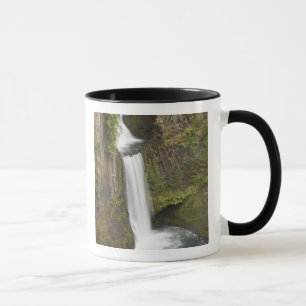 Toketee Falls in Douglas county, Oregon Mug