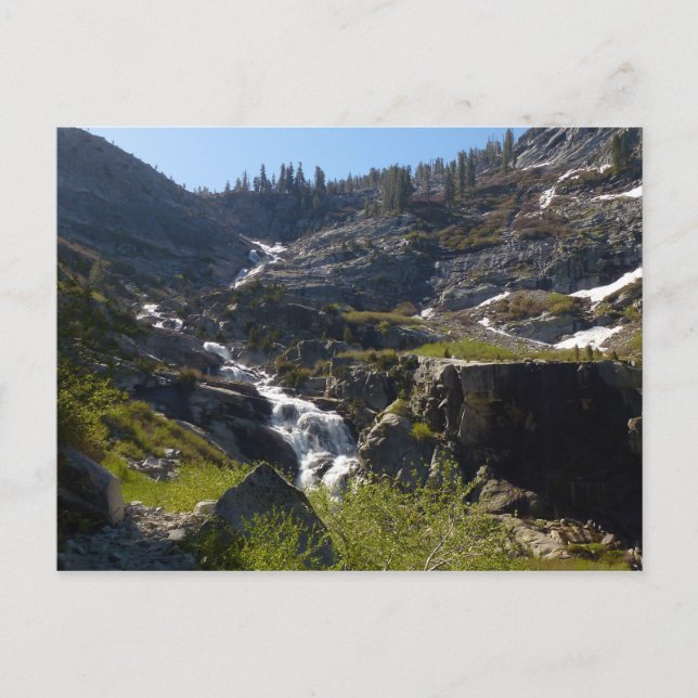 Tokopah Falls I at Sequoia National Park Postcard (Front)