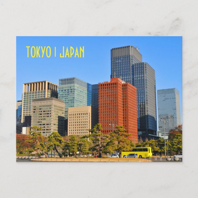Tokyo, Japan Postcard (Front)