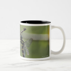 Tokyo Prefecture, Honshu, Japan Two-Tone Coffee Mug