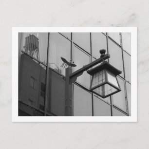 Tokyo Streetlights: Asakusa Postcard