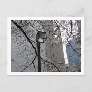 Tokyo Streetlights: Yushima Postcard