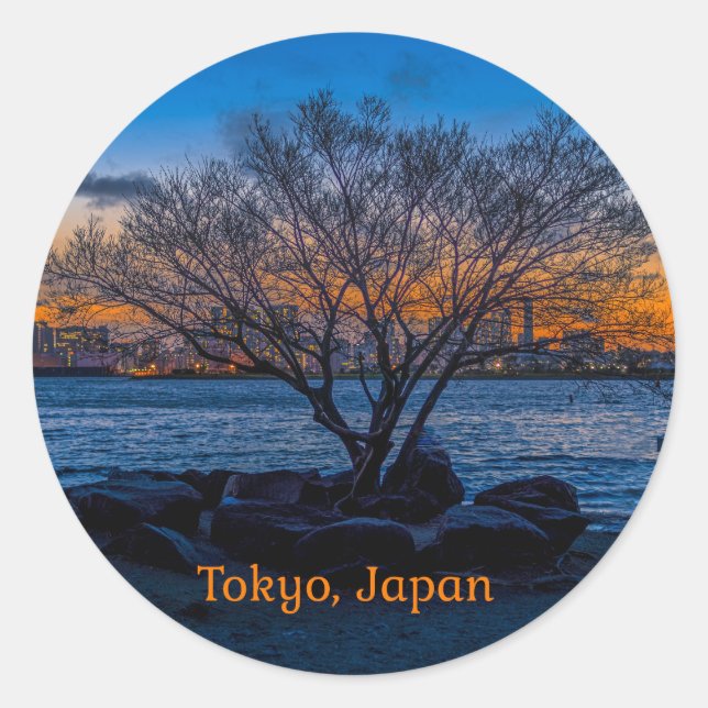 Tokyo Sunset, artistic photograph, Classic Round Sticker (Front)