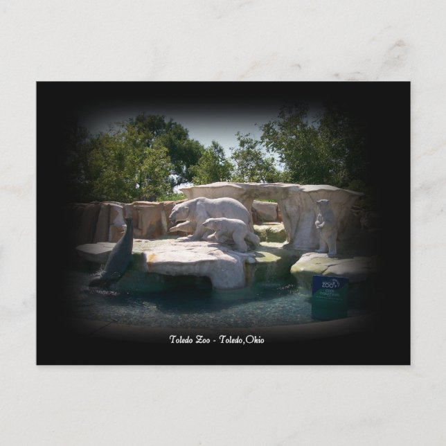 Toledo Zoo Polar Bear Statue Postcard (Front)