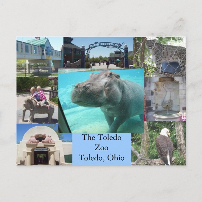 Toledo Zoo Postcard (Front)