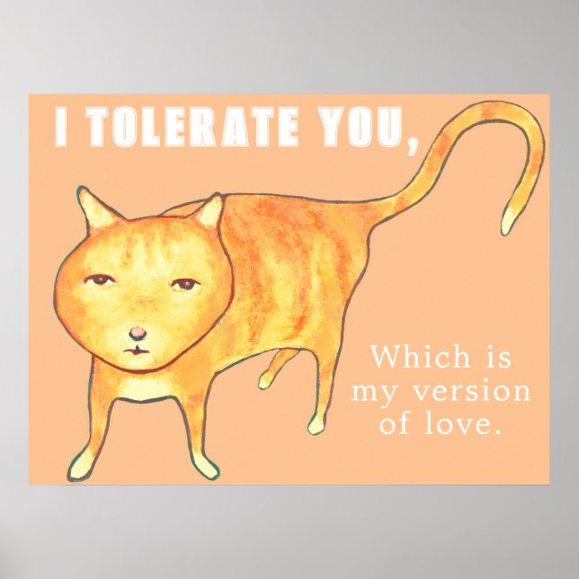 Tolerant Apathetic Orange Cat Poster (Front)