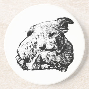 Toller Mix Lying Dog Black And White Coaster