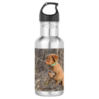 Toller puppy Water Bottle, Stainless Steel, 18 oz 532 Ml Water Bottle