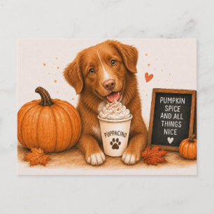 Toller Warm Pumpkin Spice Puppaccino Autumn Postcard