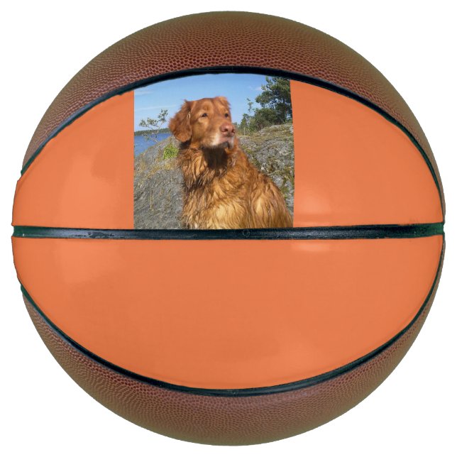 toller wet basketball (Front)